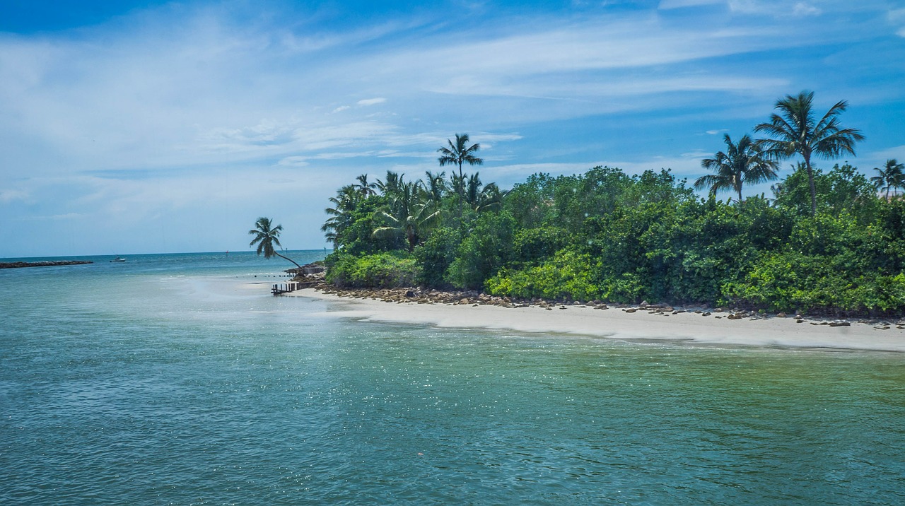 Kranto, Papludimys, Florida, Vandenynas, Jūra, Panorama, Vanduo, Panoraminis, Delnus, Atogrąžų