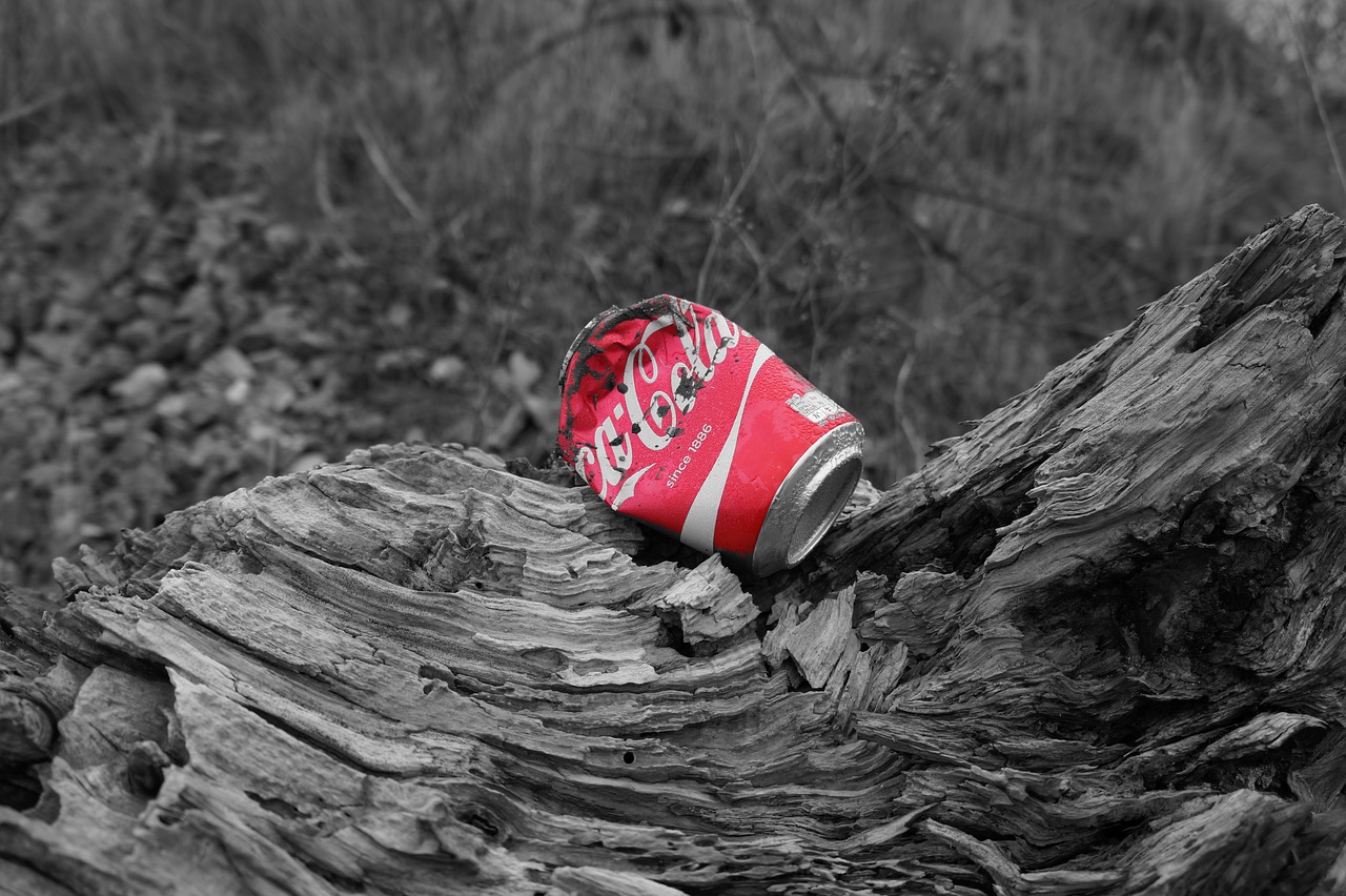 Coca Cola, Šiukšlių, Natūralus, Nemokamos Nuotraukos,  Nemokama Licenzija