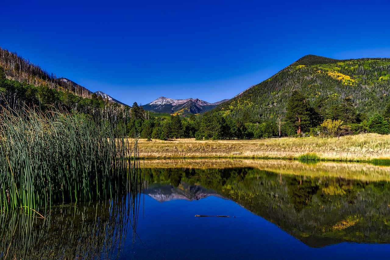 Nacionalinis Miško Kokoninas, Arizona, Hdr, Kraštovaizdis, Miškai, Medžiai, Kalnai, Pieva, Slėnis, Ruduo