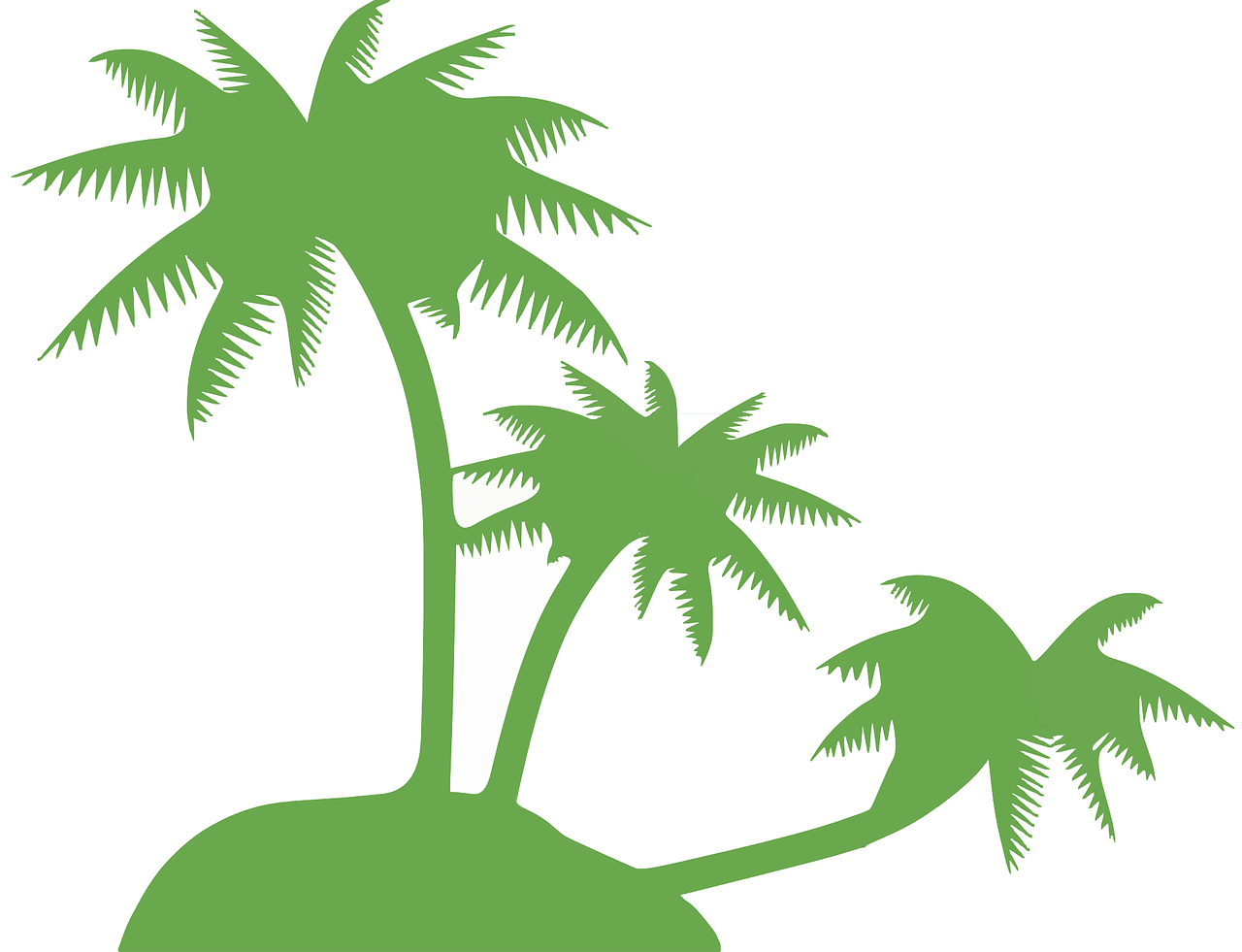 Kokoso Palmių, Palmė, Medžiai, Piliakalnis, Sala, Atogrąžų, Kokoso, Rojus, Žalias, Egzotiškas