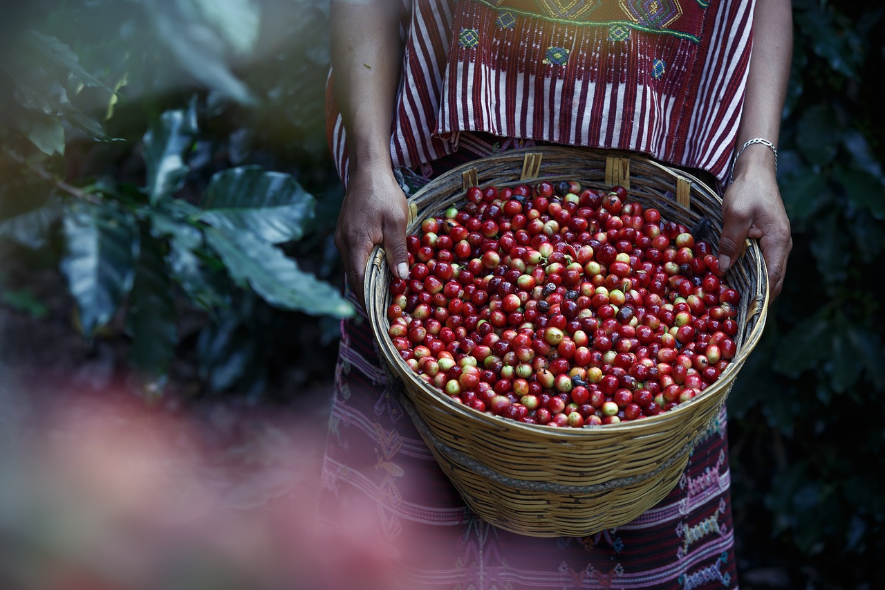 Coffe, Kava, Kavos Pupelės, Nemokamos Nuotraukos,  Nemokama Licenzija