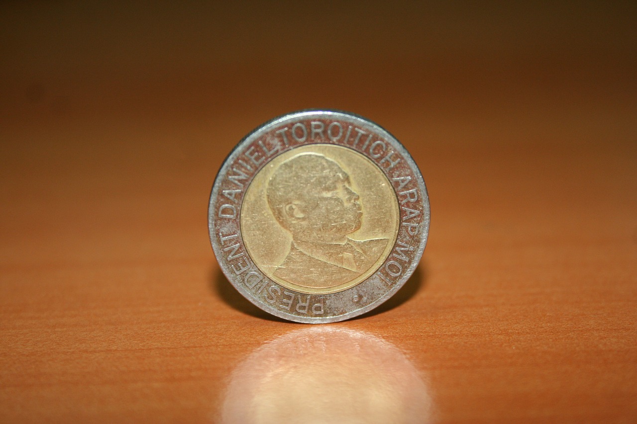 Moneta, Kenian Valiuta, Šilingas, Kenya, Nemokamos Nuotraukos,  Nemokama Licenzija