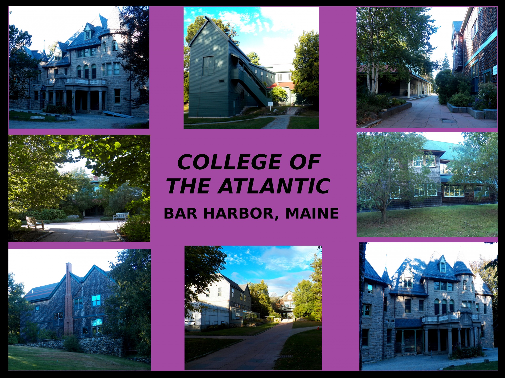 Coa,  Kolegija,  Kolegijos,  Koledžas & Nbsp,  Atlantic,  Baras & Nbsp,  Uostas,  Maine,  Nauja & Nbsp,  Anglija