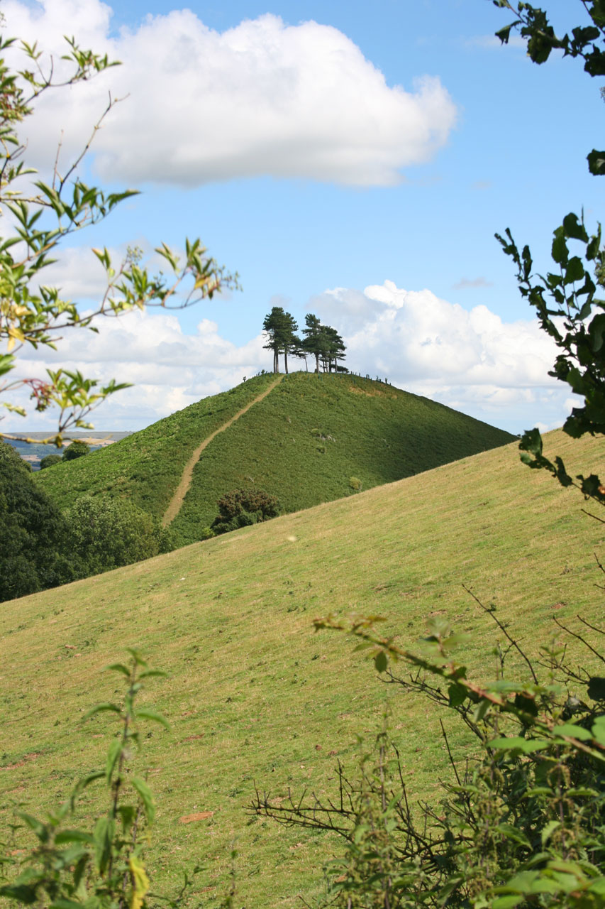 Kalnas,  Colmer,  Dorset,  Žalias,  Medžiai,  Lipti,  Vaizdas,  Peizažas,  Hillside,  Kaimas