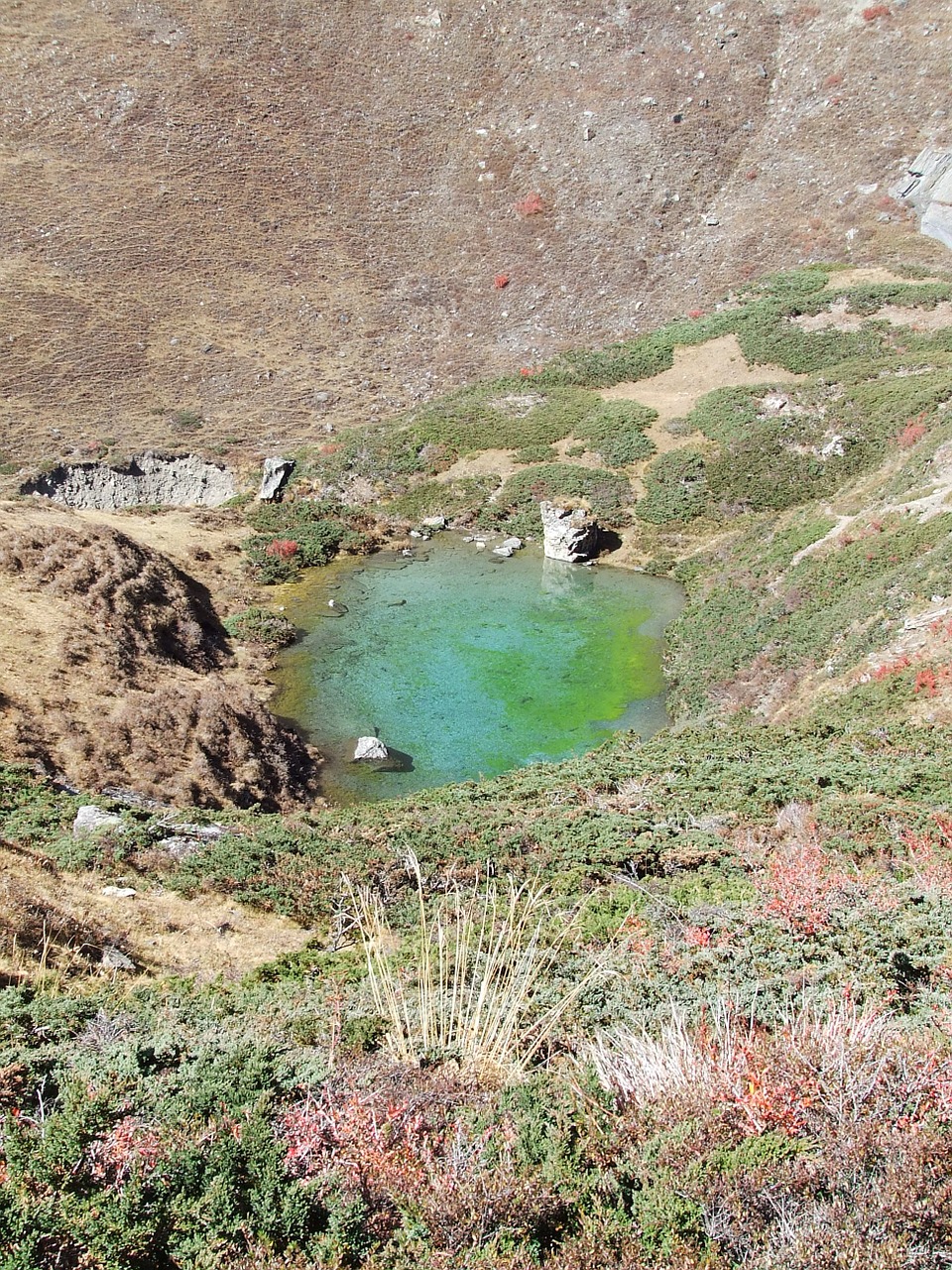 Spalva, Ežeras, Nepalas, Annapurna, Nemokamos Nuotraukos,  Nemokama Licenzija
