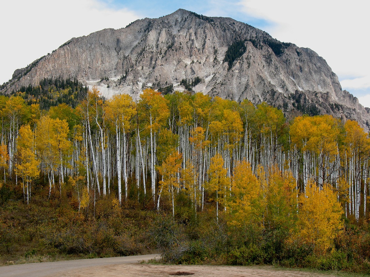 Colorado, Aspensas, Kalnas, Nemokamos Nuotraukos,  Nemokama Licenzija