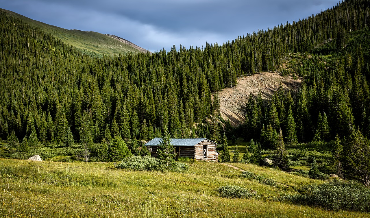 Colorado, Kraštovaizdis, Miškas, Medžiai, Miškai, Gamta, Lauke, Rąstinis Namelis, Hdr, Slėnis