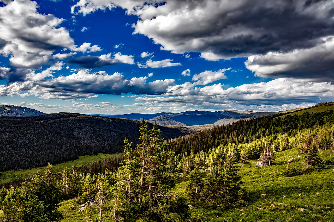 Colorado, Uolėti Kalnai, Nacionalinis Parkas, Kraštovaizdis, Vaizdingas, Gamta, Lauke, Miškas, Medžiai, Miškai