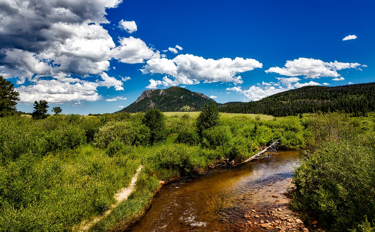 Colorado, Uolėti Kalnai, Nacionalinis Parkas, Kraštovaizdis, Vaizdingas, Gamta, Lauke, Miškas, Medžiai, Miškai