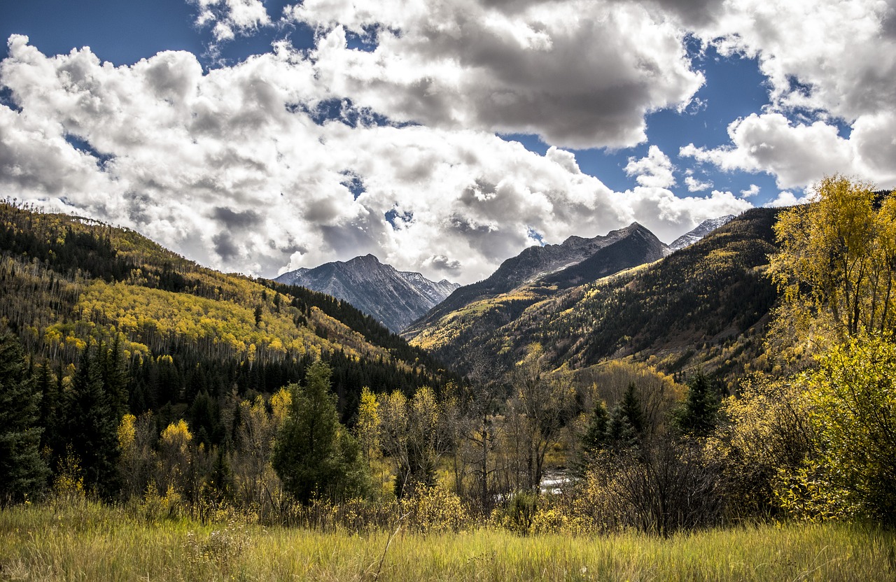 Colorado, Kritimo Lapai, Kalnas, Kritimas, Ruduo, Lapai, Gamta, Aspen, Miškas, Spalvinga