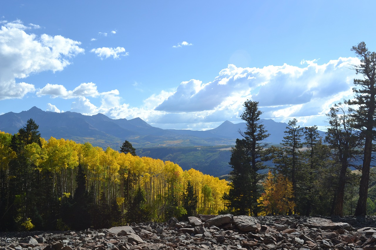 Colorado, Uolėti Kalnai, Aspenos Medžiai, Nemokamos Nuotraukos,  Nemokama Licenzija