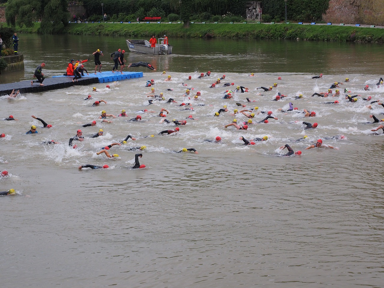 Varzybos, Nuskaityti, Dalyvavo, Plaukti, Sporto Šakos Sportininkai, Sportininkai, Triatlonas, Danube, Ulm, Plaukikas