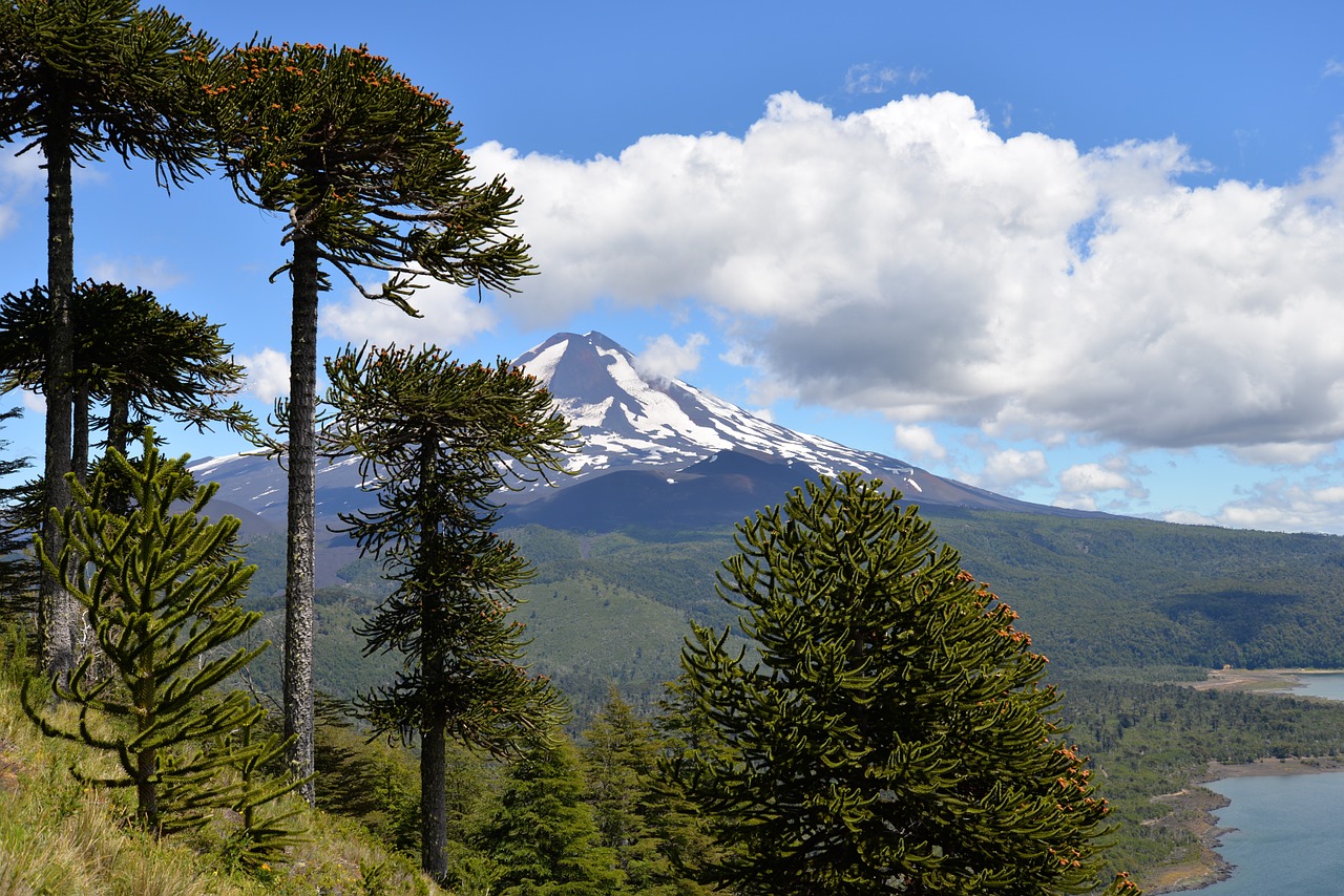 Conguillío Nacionalinis Parkas,  Vulkanas,  Dangus,  Debesys,  Medžiai,  Araucaria Araucana,  Aukštas Kalnas,  Mėlynas,  Čile,  Ežeras