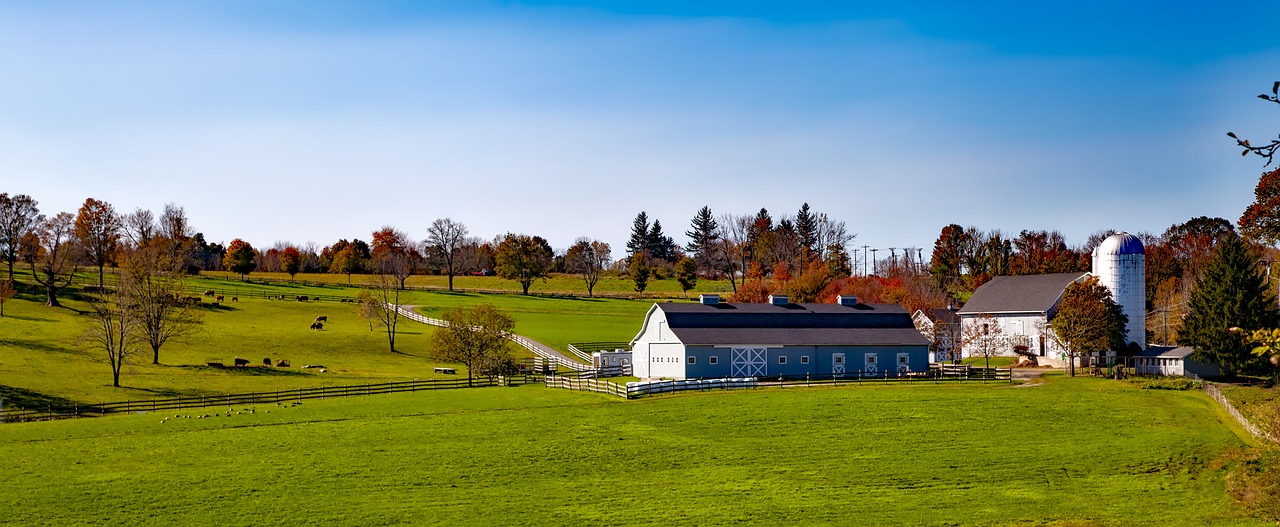 Connecticut, Kritimas, Ruduo, Lapija, Medžiai, Kalvos, Spalvinga, Kraštovaizdis, Ūkis, Panorama