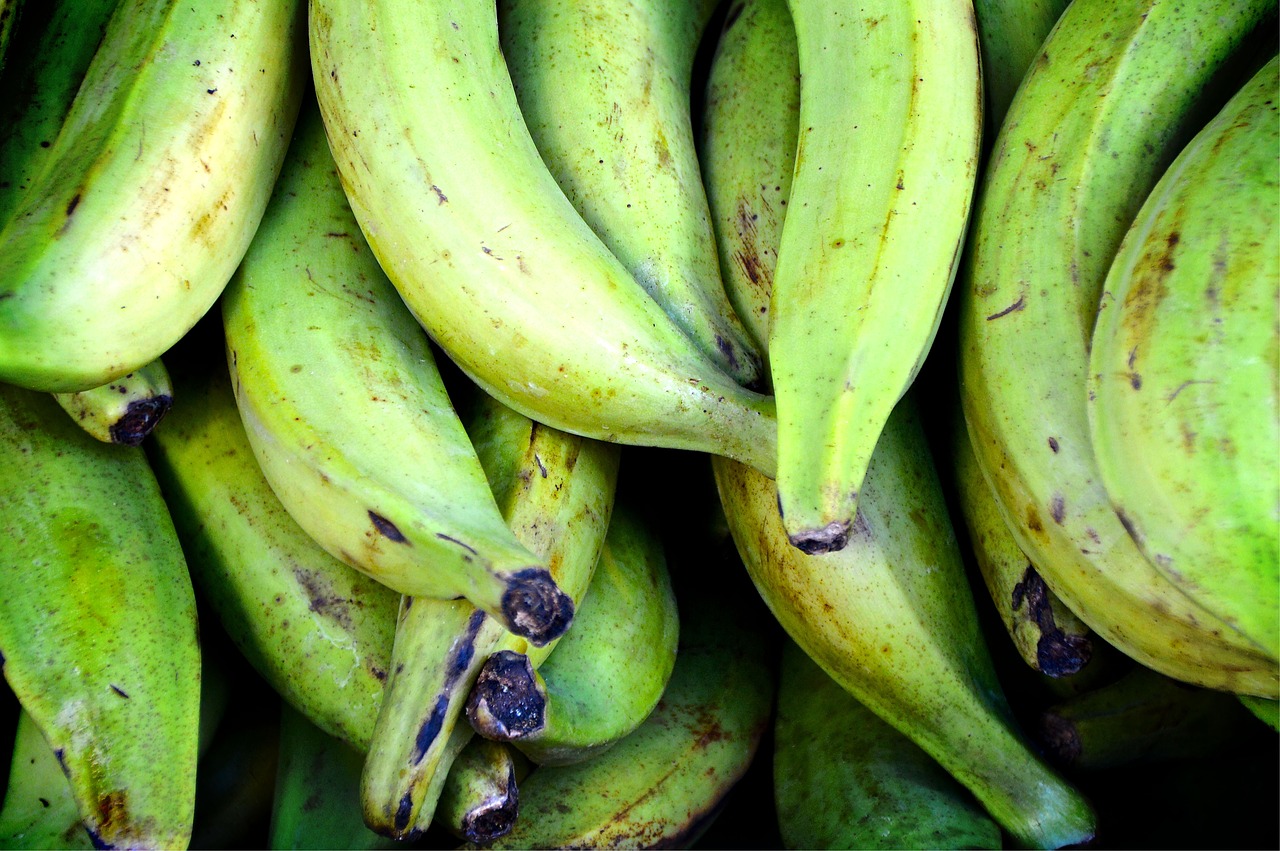 Valgyti Bananus, Bananai, Žalias, Turgus, Sveikas, Vaisiai, Mityba, Vitaminai, Prekystalis, Saulės Šviesa