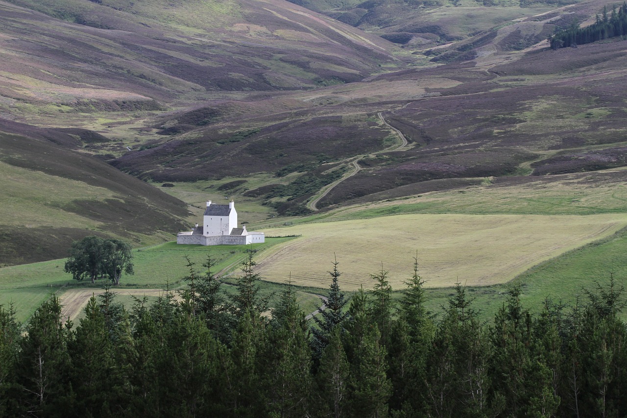 Corgarff Pilis, Pilis, Aukštumų Ir Salų, Škotija, Pastatas, Kraštovaizdis, Gamta, Highlands, Nuotaika, Nemokamos Nuotraukos