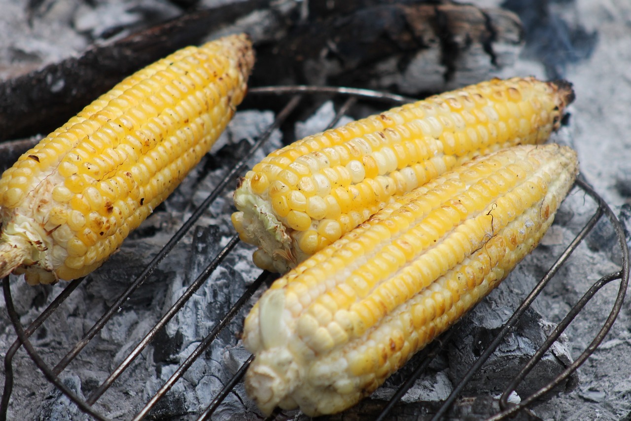 Kukurūzai, Cob, Kepsnys, Maistas, Daržovės, Nemokamos Nuotraukos,  Nemokama Licenzija