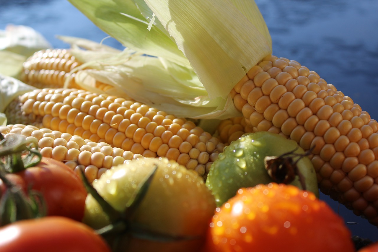 Kukurūzai, Kukurūzų Burbuolės, Pomidorai, Daržovės, Vaisiai, Maistas, Gamta, Ruduo, Derlius, Nemokamos Nuotraukos