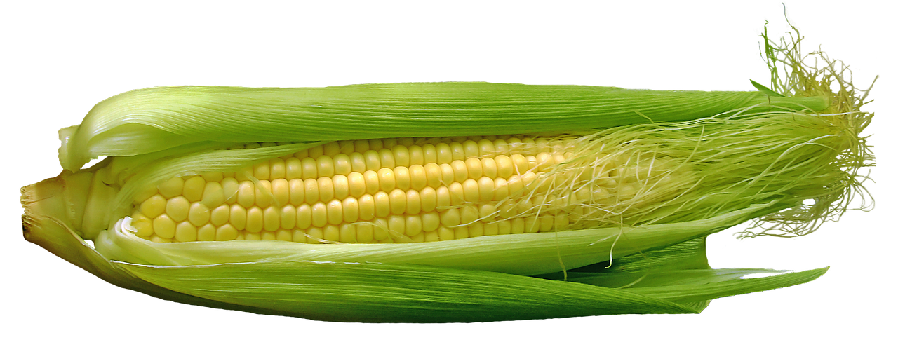 Kukurūzai, Cob, Maistas, Daržovės, Nemokamos Nuotraukos,  Nemokama Licenzija