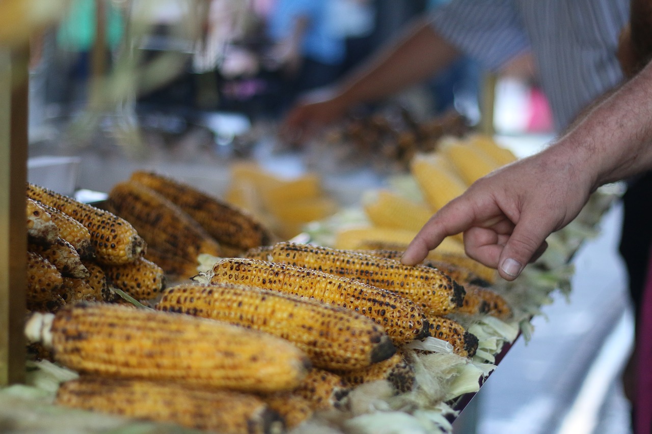 Veislynas, Hawker, Pasirinkimas, Nemokamos Nuotraukos,  Nemokama Licenzija