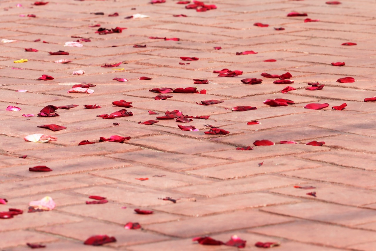 Corpus Christi Šventė,  Rožių Žiedlapių Ant Grindų,  Procesija,  Tradicija,  Šventė,  Bažnyčia,  Krikščionių,  Krikščionybė,  Religija,  Religinis