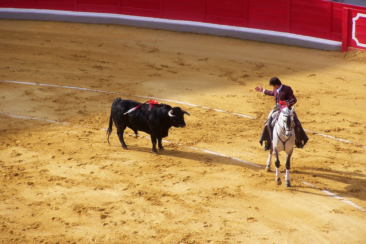 Corrida, Arena, Bulius, Nemokamos Nuotraukos,  Nemokama Licenzija