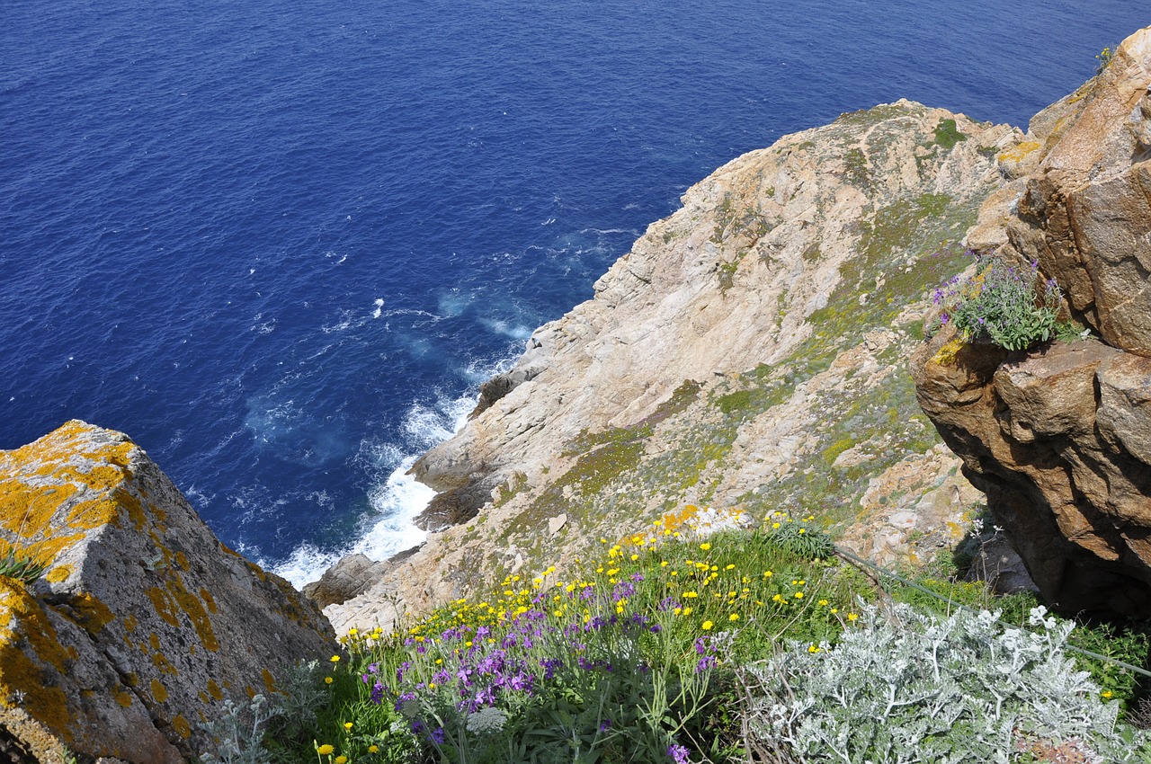 Korsikietis, France, Jūra, Gamta, Šventė, Calvi, Papludimys, Kraštovaizdis, Kelionė, Laukiniai Augalai