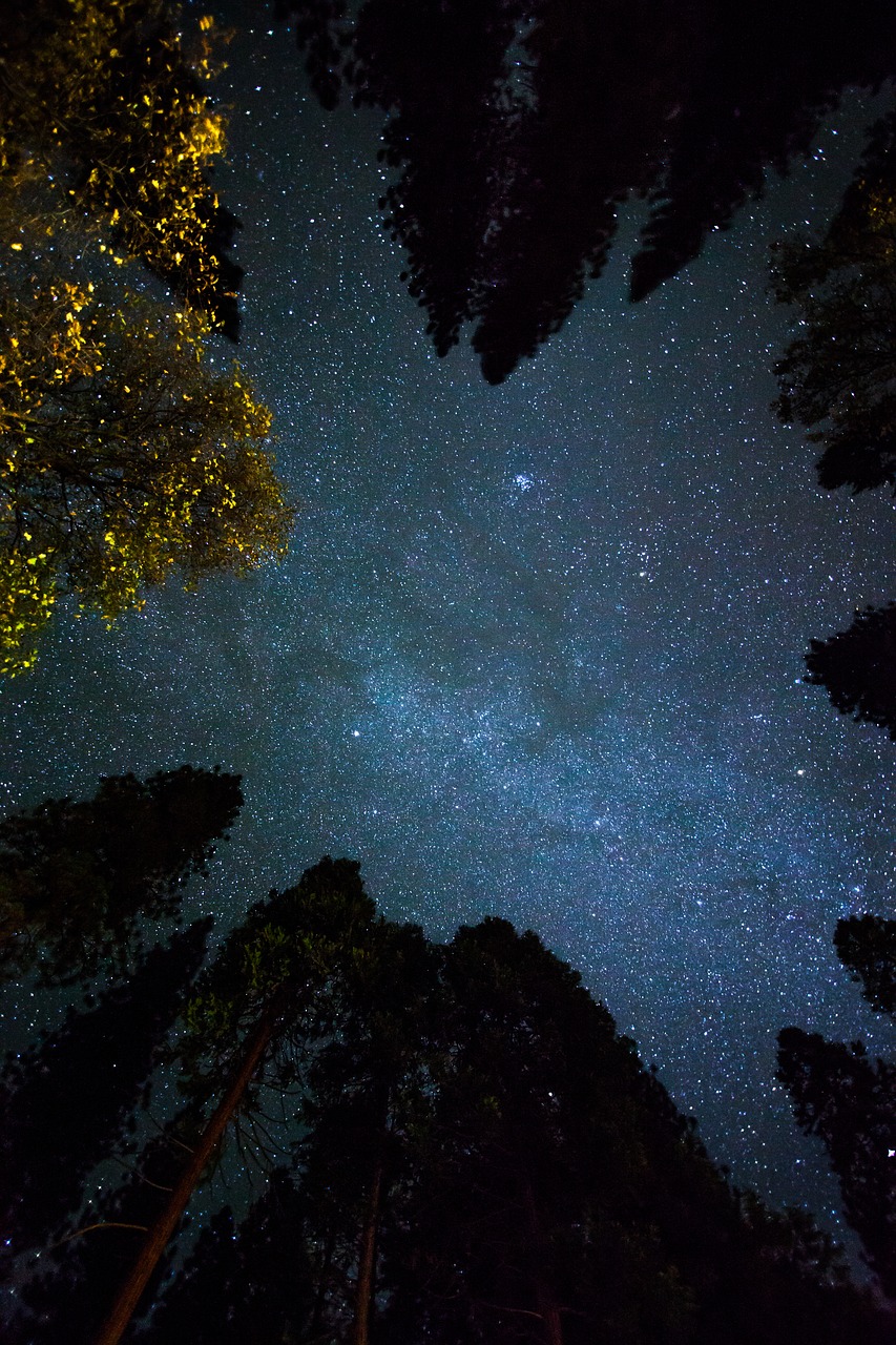 Kosmosas, Naktis, Dangus, Žvaigždės, Medžiai, Nemokamos Nuotraukos,  Nemokama Licenzija