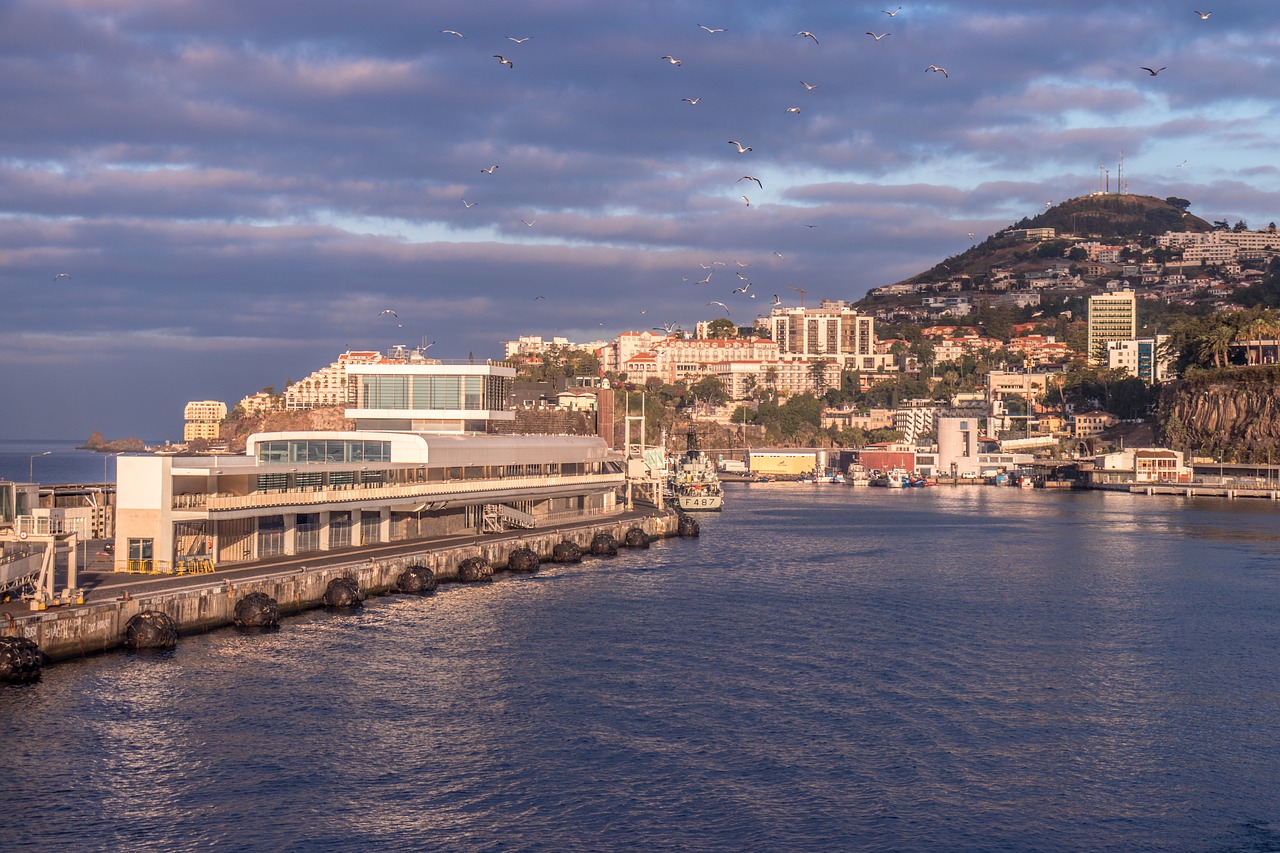 Kosta,  Mar,  Architektūra,  Vandenynas,  Miestovaizdis,  Marina,  Funchal,  Porto,  Mediena, Nemokamos Nuotraukos