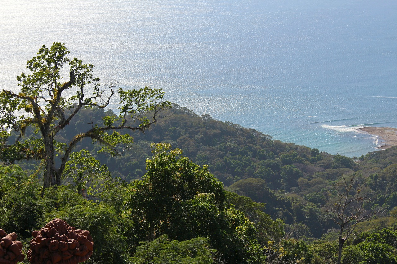 Costa Rica,  Tropical,  Džiunglės,  Pobūdį,  Lauke,  Kelionė,  Kraštovaizdis,  Kalnų,  Top,  Vandenynas