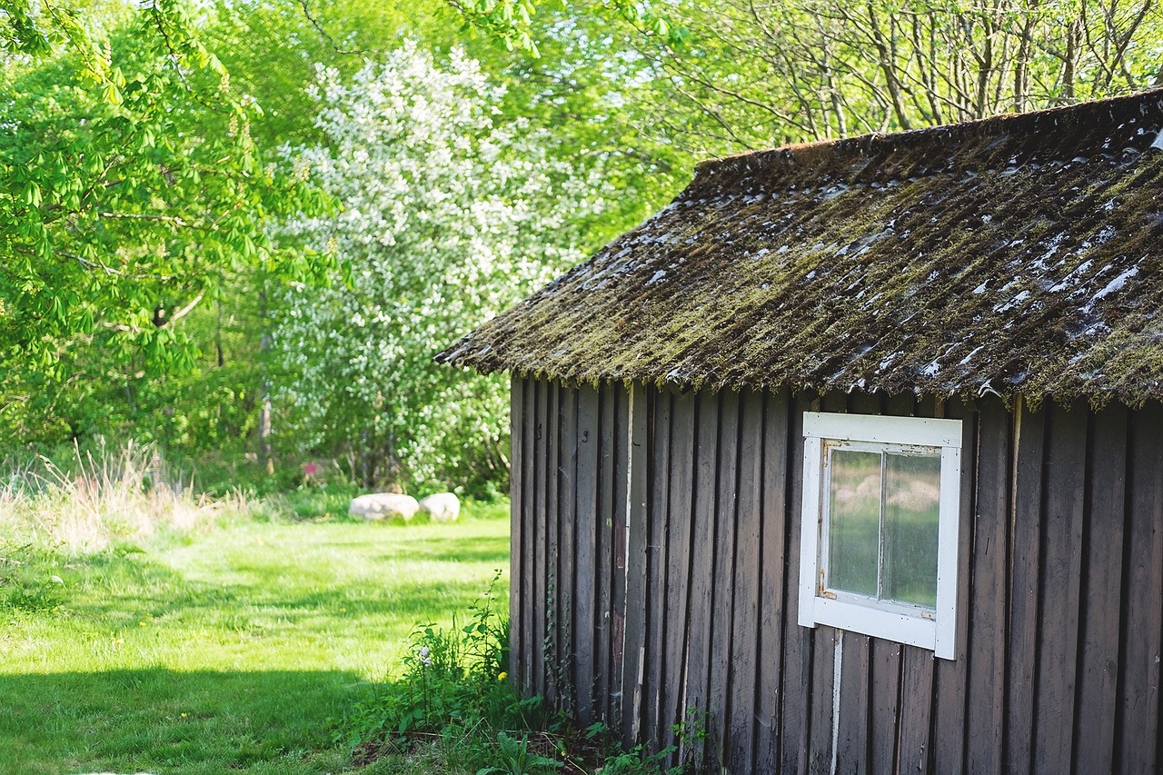 Namelis, Namas, Vasara, Langas, Žolė, Stogas, Gamta, Miškas, Švedija, Žalias