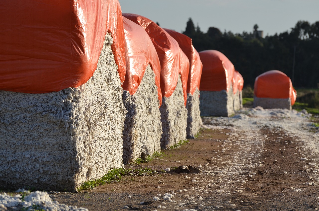 Medvilnė, Oranžinė, Balta, Tekstilė, Medžiaga, Nemokamos Nuotraukos,  Nemokama Licenzija