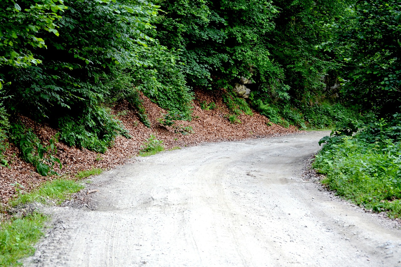 Šalis, Kelias, Miškas, Šalies Pusė, Trasa, Gamta, Kaimas, Lauke, Nemokamos Nuotraukos,  Nemokama Licenzija