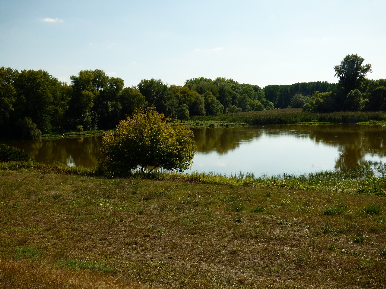 Šalis, Gamta, Medžiai, Vanduo, Ežeras, Čičovské, Danube, Pievos, Slovakija, Nemokamos Nuotraukos