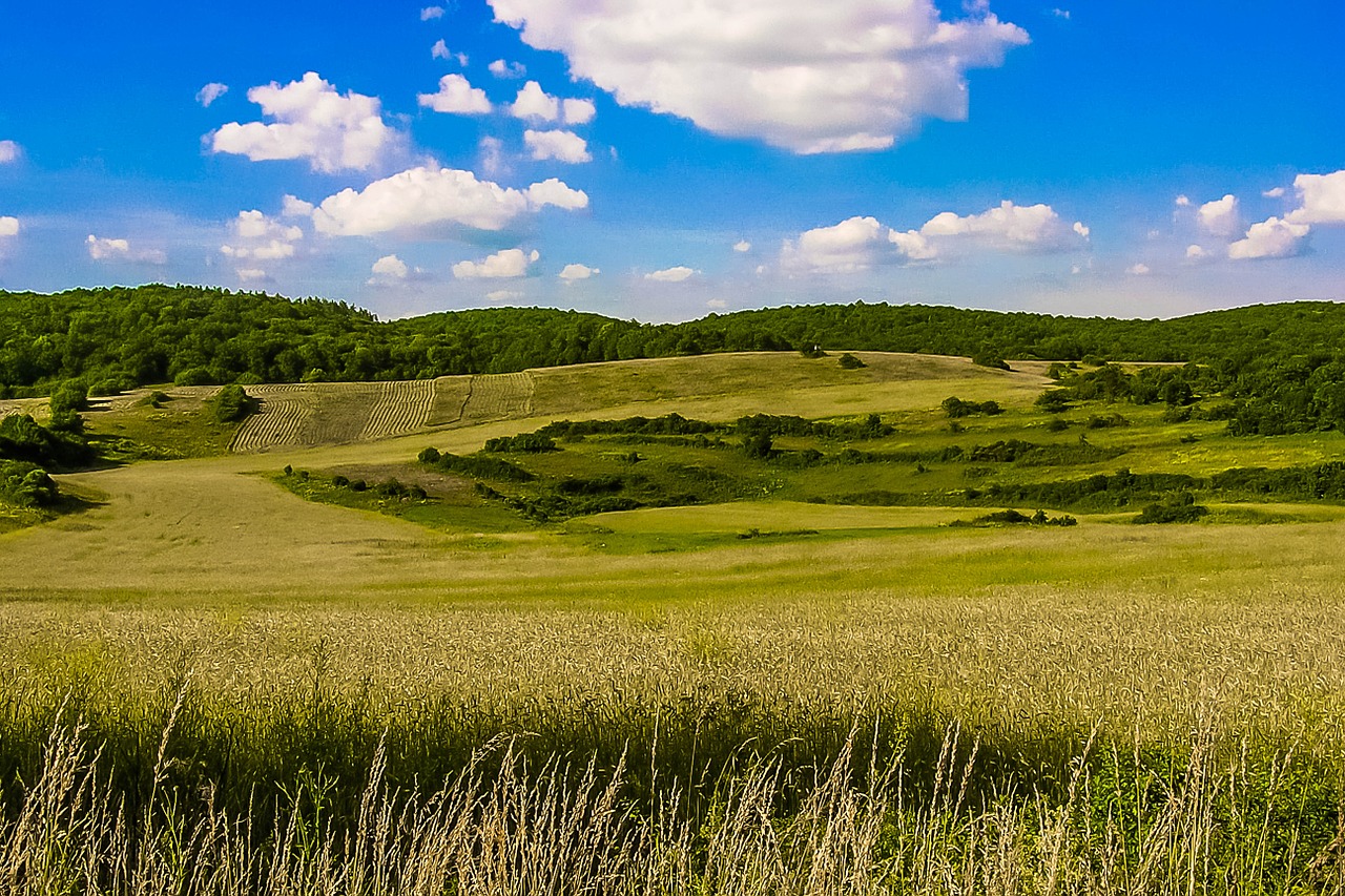 Šalis, Slovakija, Laukai, Nemokamos Nuotraukos,  Nemokama Licenzija