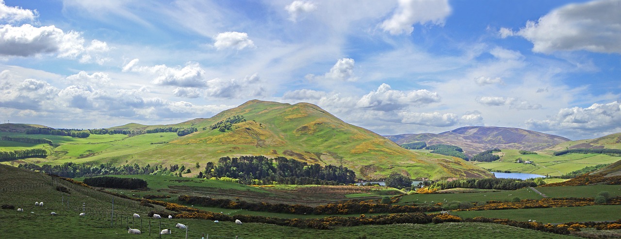 Kaimas, Škotija, Avys, Aukštuma, Pentlands, Prieglobsčio Juosta, Panorama, Debesys, Škotų, Ūkininkavimas