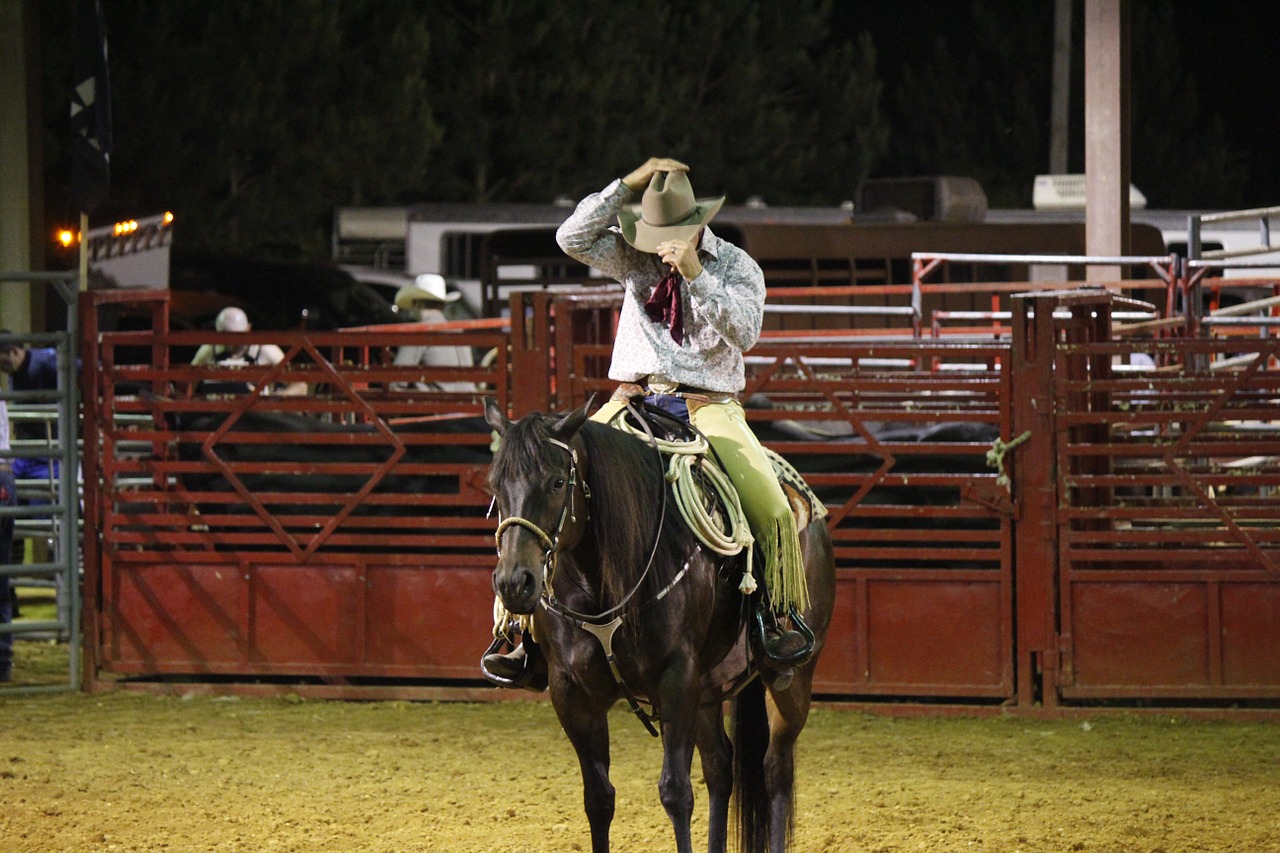 Kaubojus, Rodeo, Arklys, Skrybėlę, Nemokamos Nuotraukos,  Nemokama Licenzija