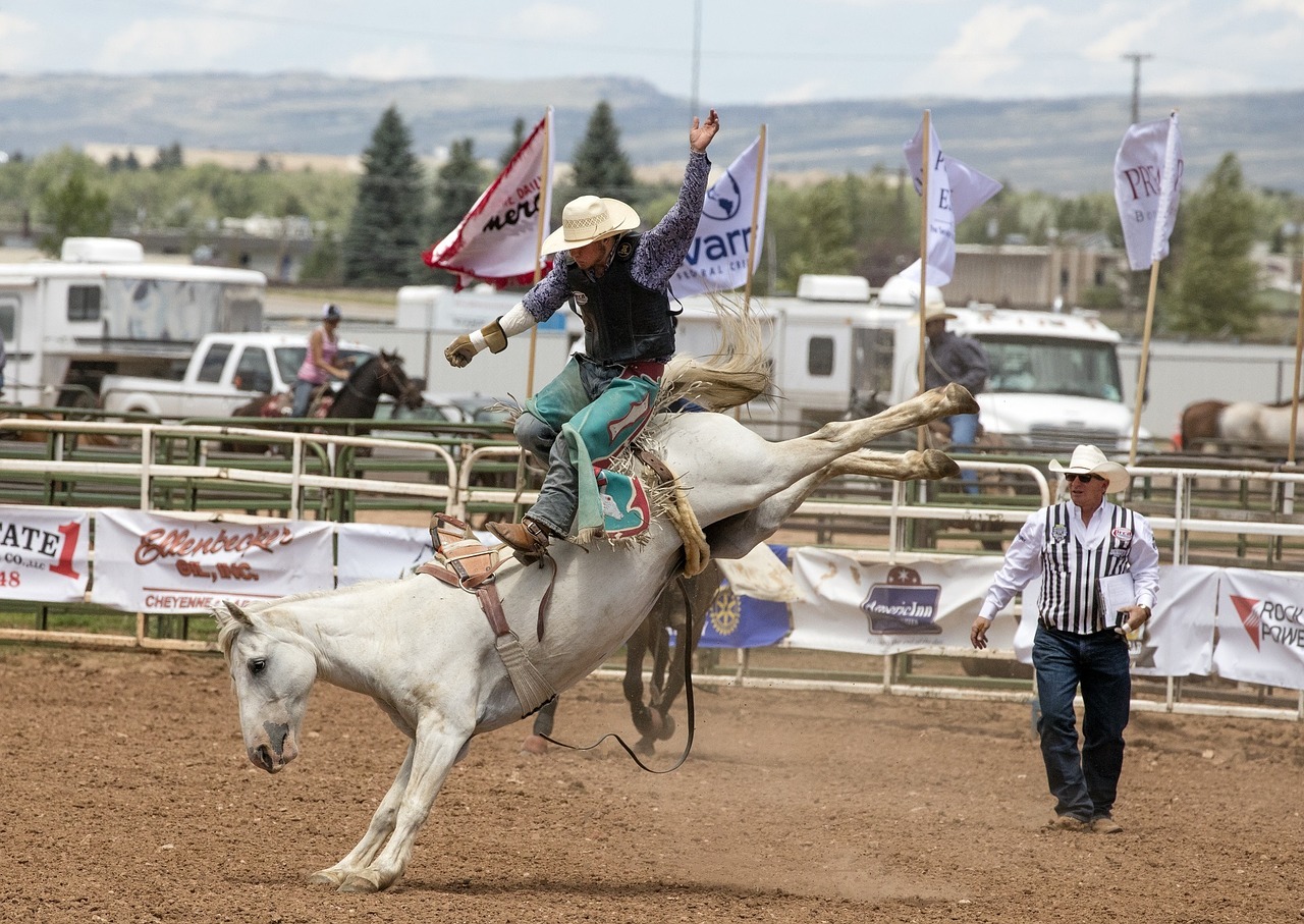 Kaubojus, Broncų Raitelis, Rodeo, Bronco, Arklys, Vyras, Bucking, Veiksmas, Arena, Sportas