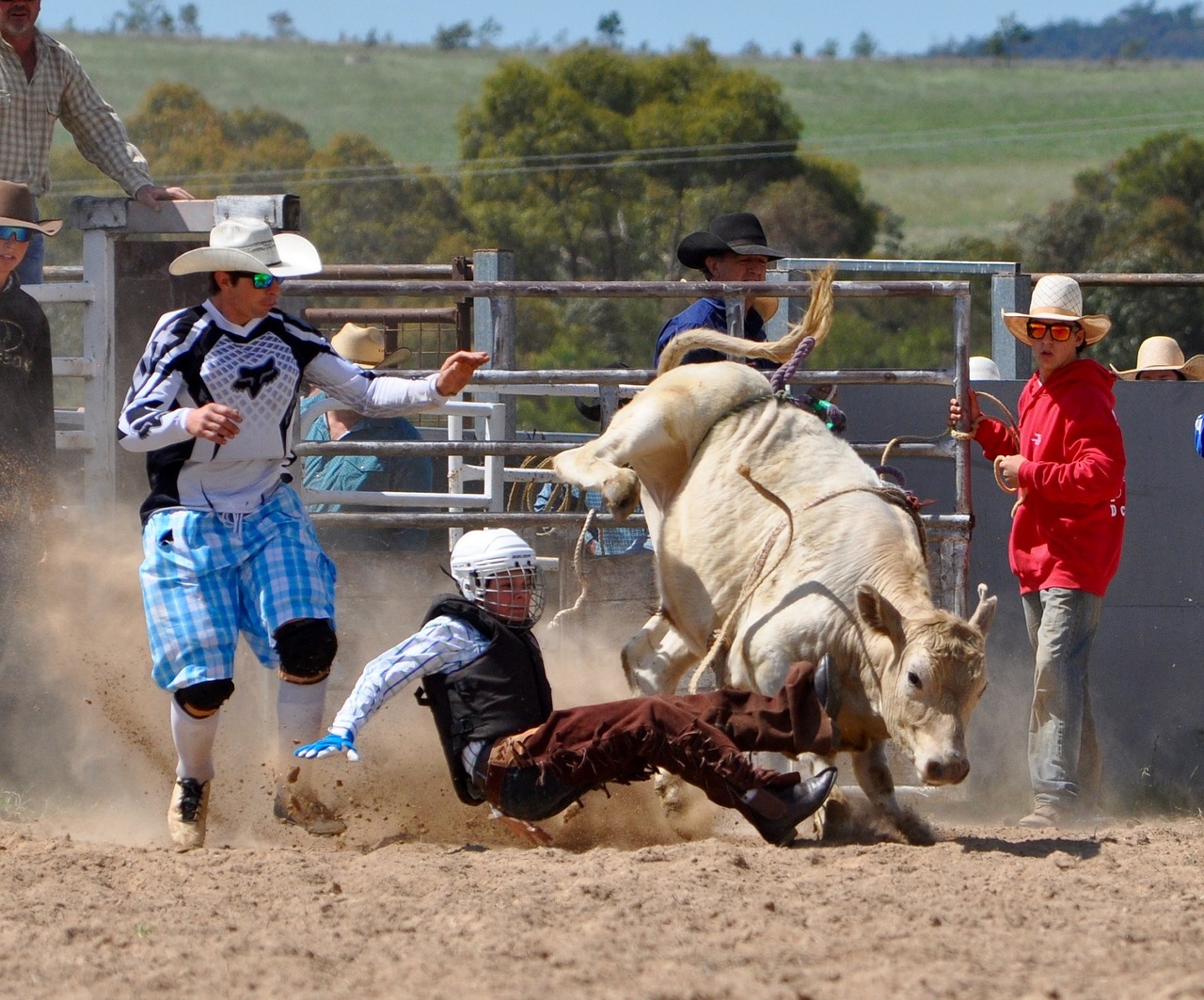 Kaubojus, Bulių Vairuotojas, Rodeo, Vyras, Bucking, Veiksmas, Arena, Sportas, Bareback, Šukos