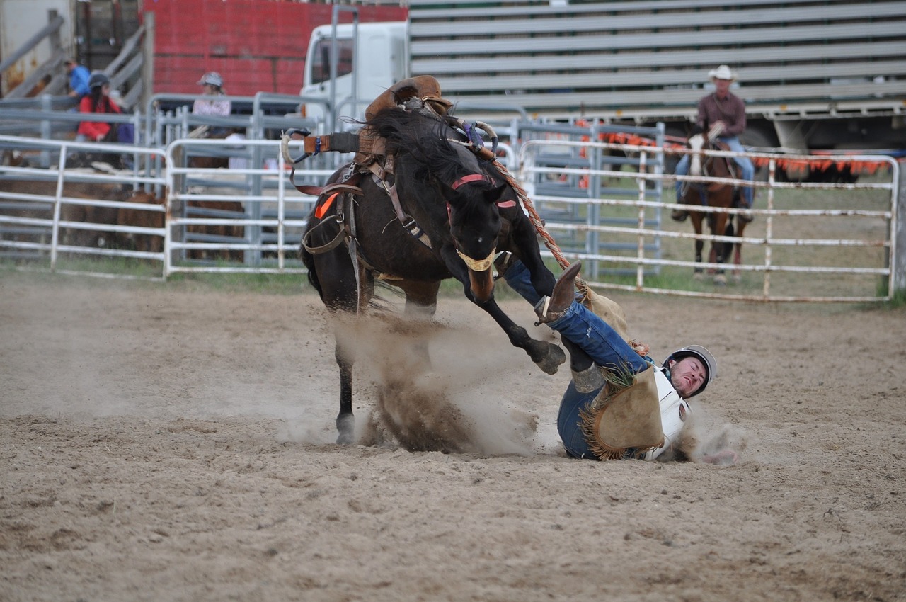 Kaubojus, Broncų Raitelis, Rodeo, Kritimas, Žemė, Bronco, Arklys, Vyras, Bucking, Veiksmas