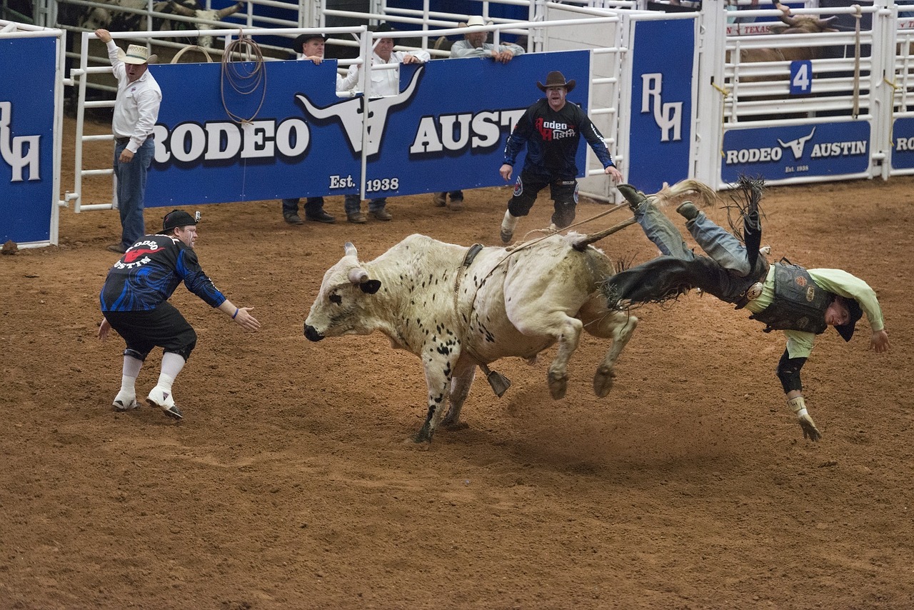 Kaubojus, Bulių Vairuotojas, Rodeo, Vyras, Bucking, Kritimas, Purvas, Žemė, Klounas, Veiksmas