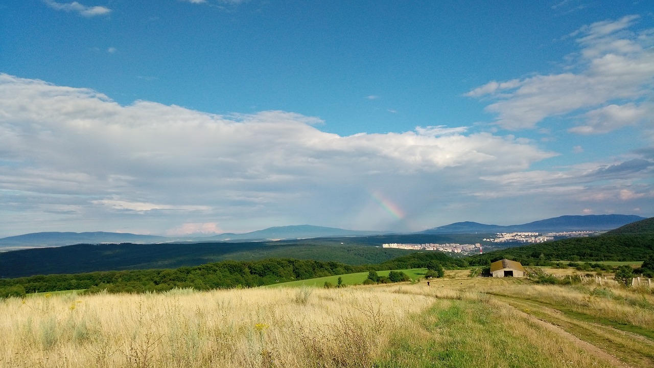 Karvės, Pieva, Dangus, Panorama, Nemokamos Nuotraukos,  Nemokama Licenzija