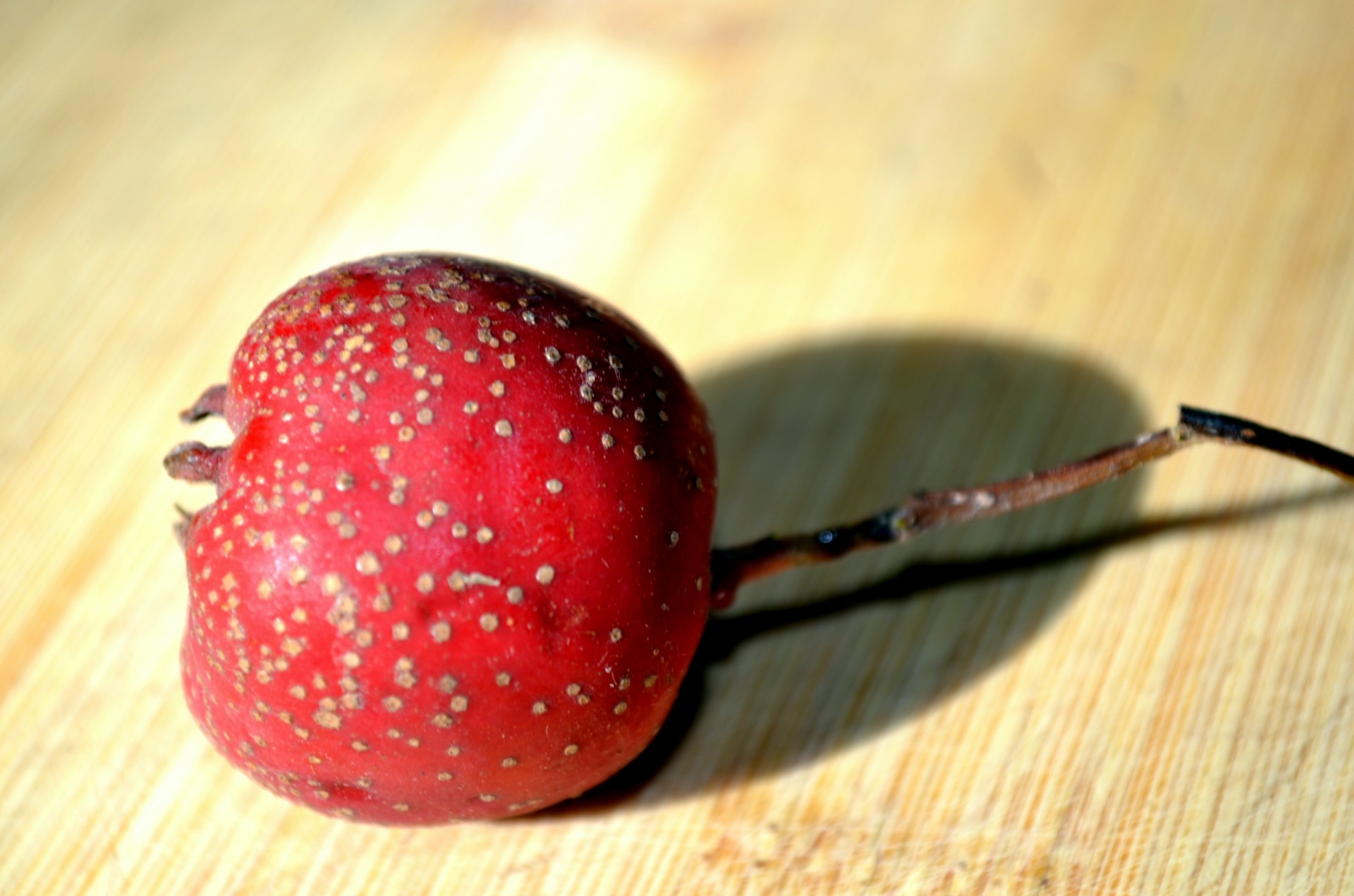 Maistas,  Crabapple,  Krabas & Nbsp,  Obuolys,  Vaisiai,  Rūgštus,  Mažas,  Apdaila,  Crabapple, Nemokamos Nuotraukos