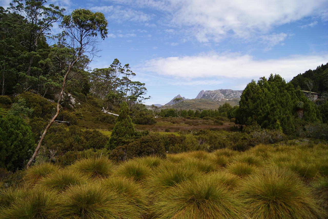 Kalno Kalnas, Tasmanija, Nacionalinis Parkas, Žygiai, Vaizdingas, Australia, Nemokamos Nuotraukos,  Nemokama Licenzija