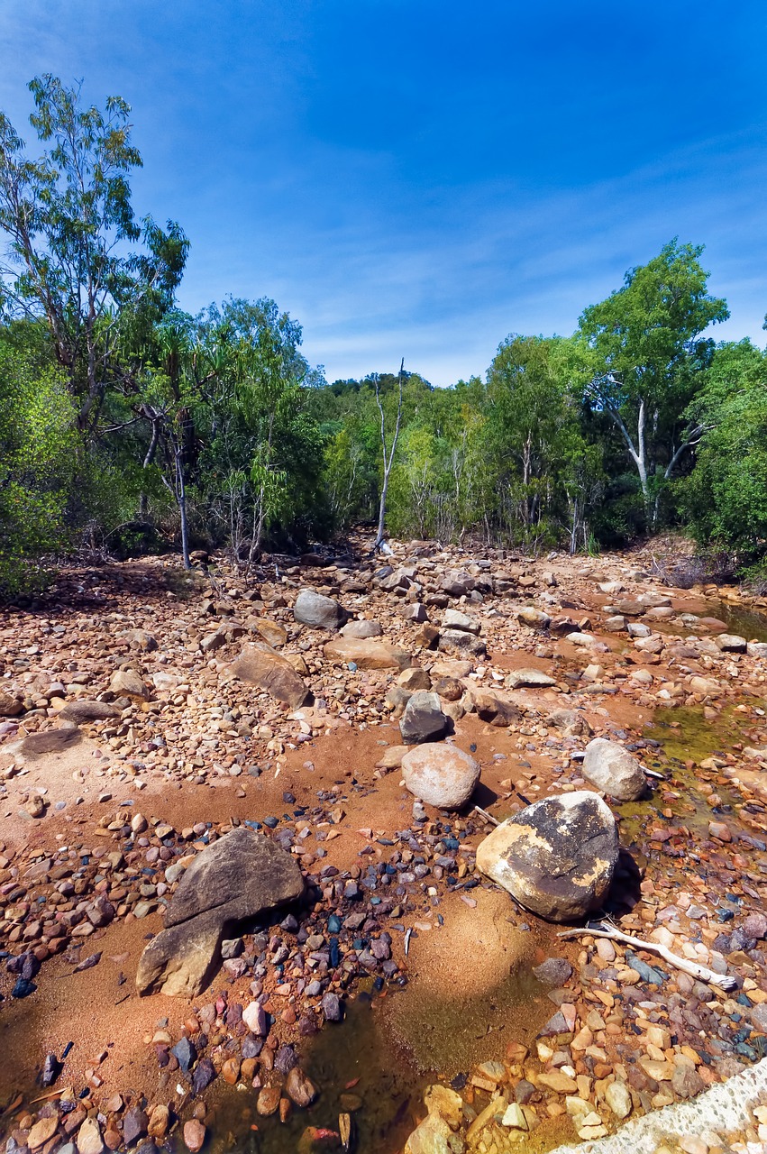 Upelis, Creekbed, Magnetinės Salos Upė, Mangroviai, Atogrąžų Karalienė, Nemokamos Nuotraukos,  Nemokama Licenzija