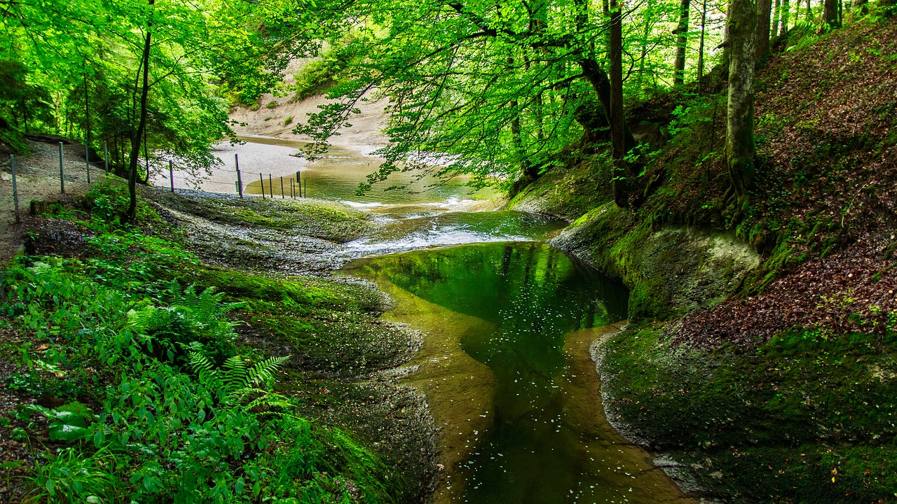 , Nemokamos Nuotraukos,  Nemokama Licenzija