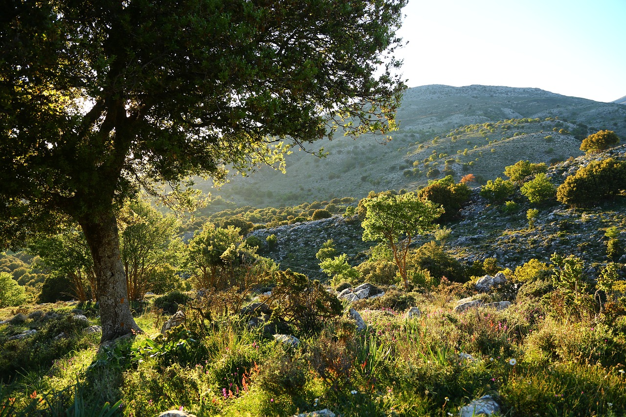 Kreta,  Kalnai, Nemokamos Nuotraukos,  Nemokama Licenzija