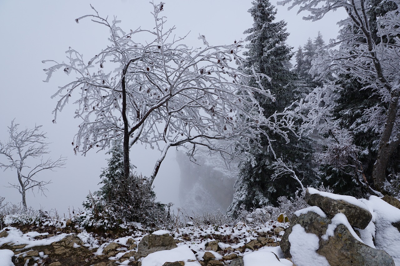 Creux Du Van, Kalnai, Bedugnė, Šveicarija, Uolos, Rūkas, Balta, Medžiai, Jura, Žiema