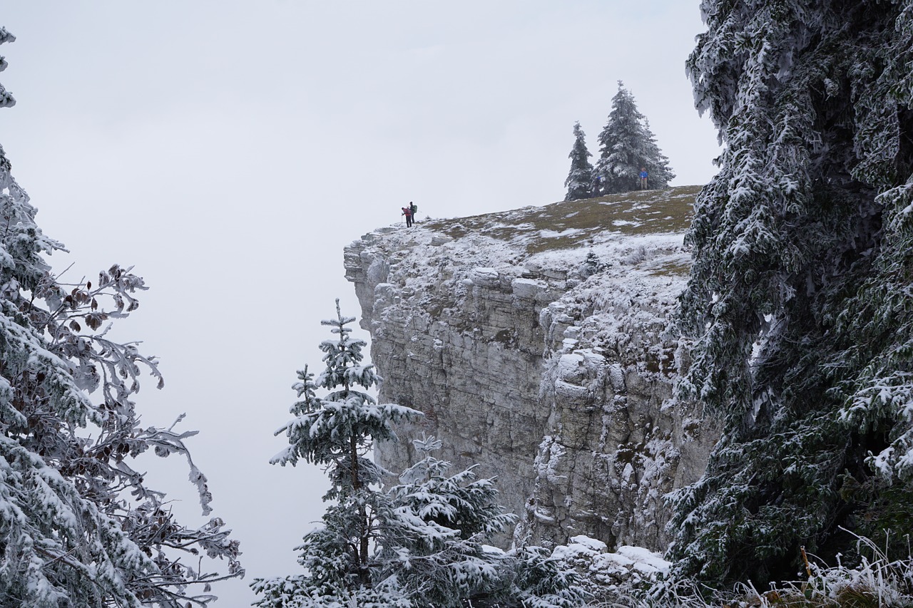 Creux Du Van, Kalnai, Bedugnė, Šveicarija, Uolos, Rūkas, Balta, Medžiai, Jura, Žiema