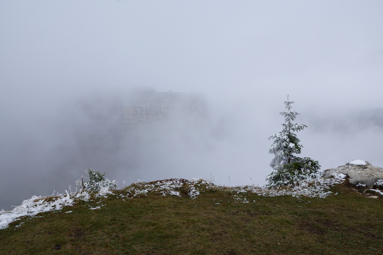 Creux Du Van, Kalnai, Bedugnė, Šveicarija, Uolos, Rūkas, Balta, Medžiai, Jura, Žiema